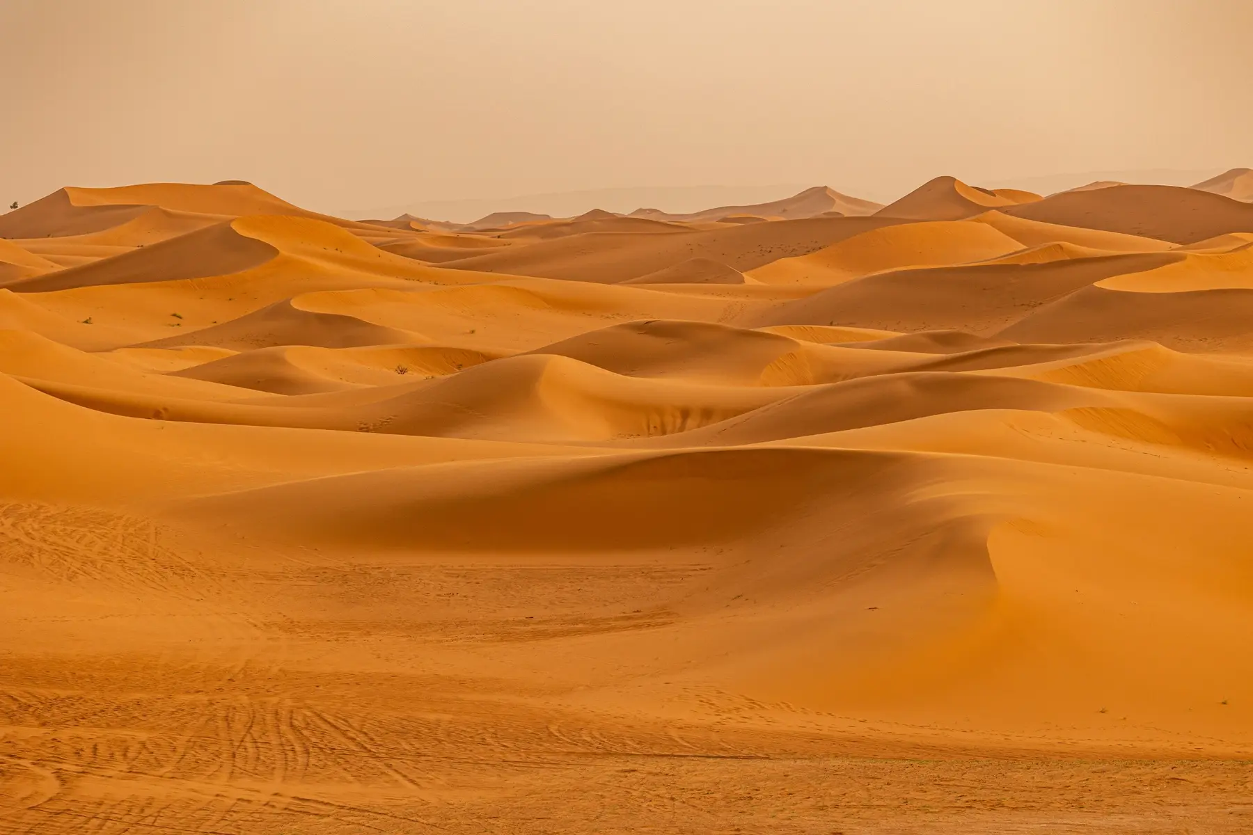 Golden Sahara dunes at low sun in southern Morocco — Morocco Shiny Days private journeys